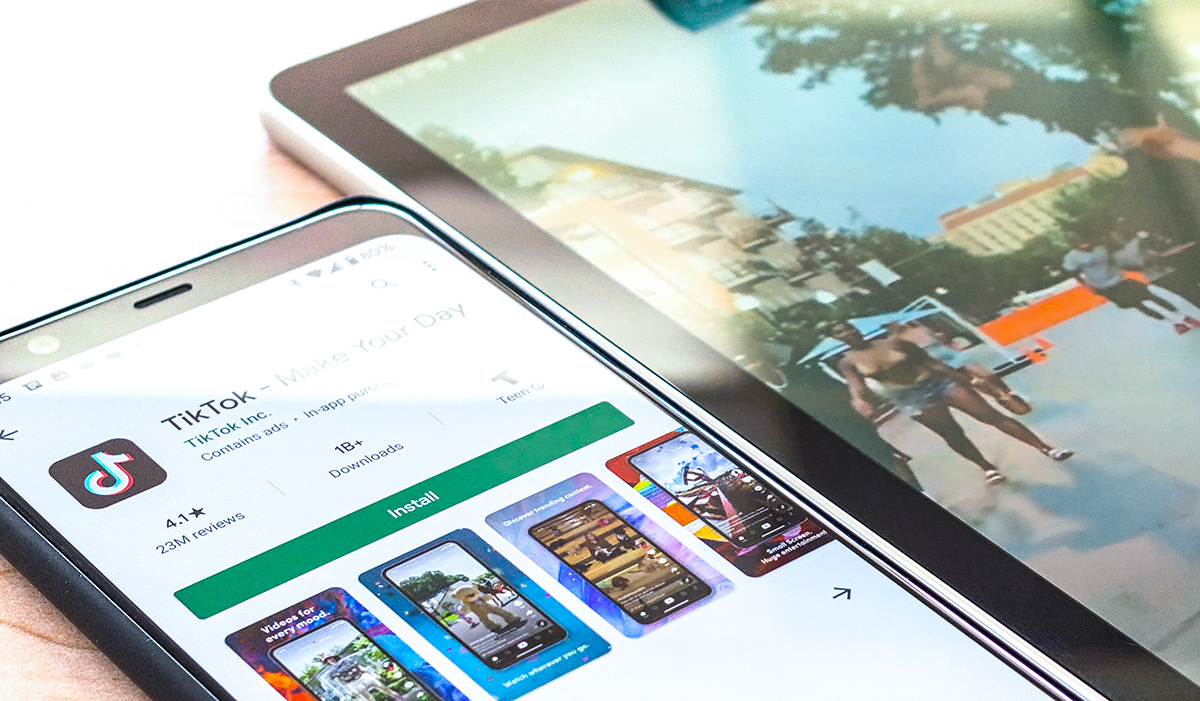 Palette de branding et planches de style